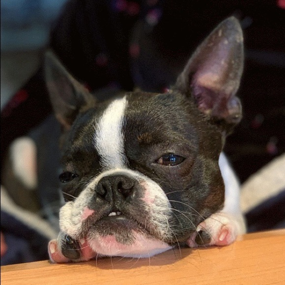 Meet your Posher, Kaylee - Picture 1 of 1